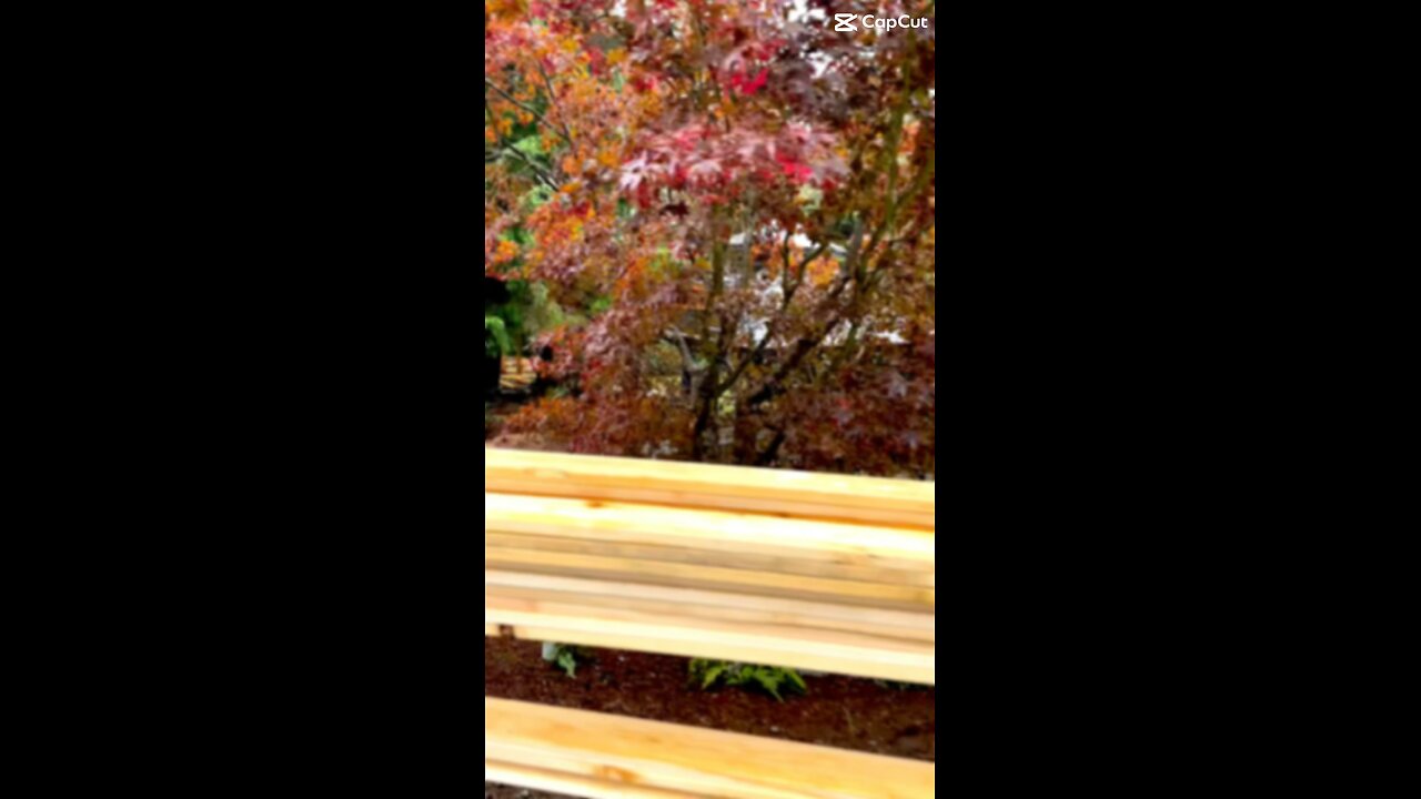 Multi level composite sundeck with Douglas Fir Beams