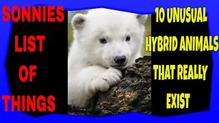 10 Unusual Hybrid Animals That Really Exist