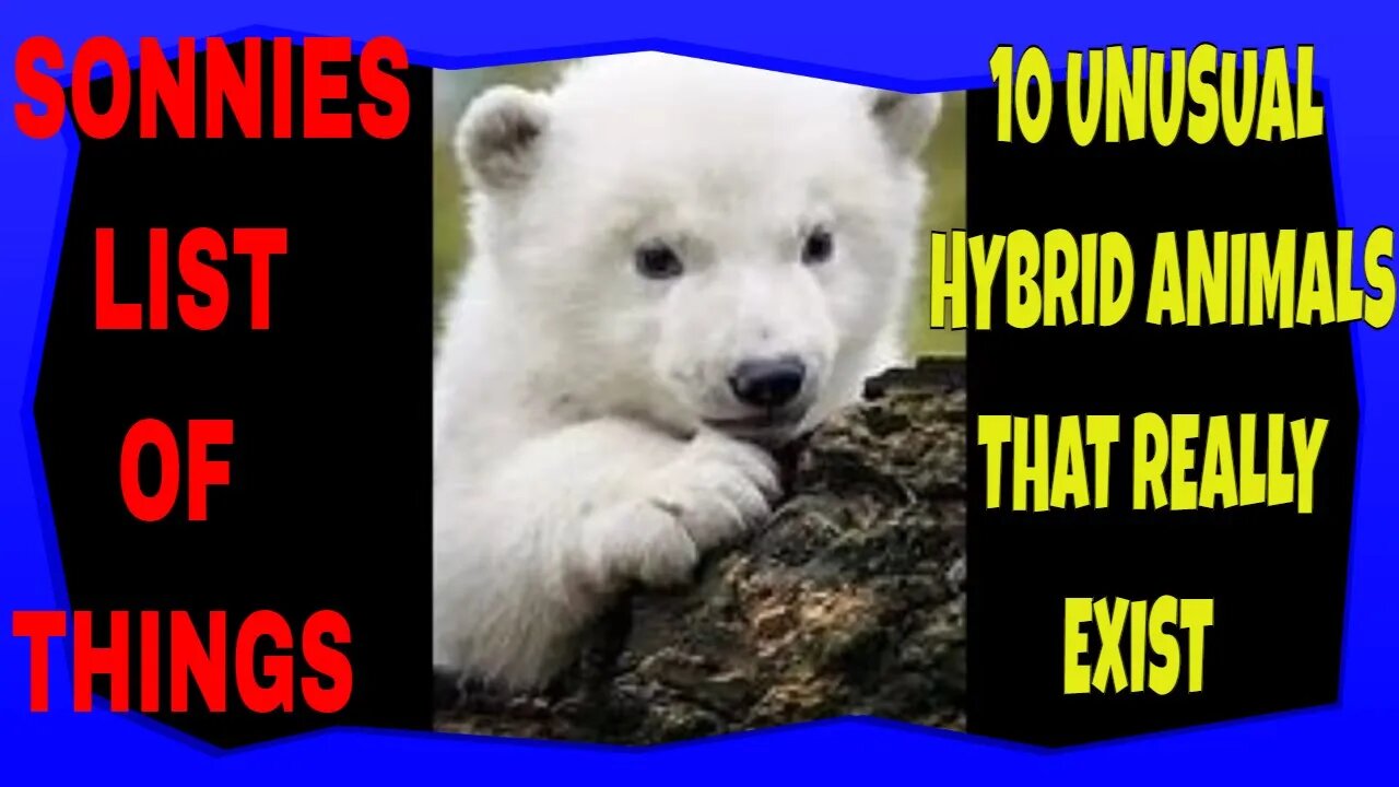 10 Unusual Hybrid Animals That Really Exist