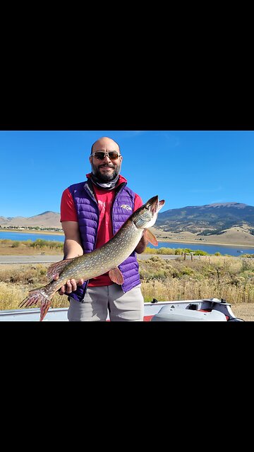Big Northern Pike on a Trout Fly?? Eagles Nest, NM - Spoonplugging