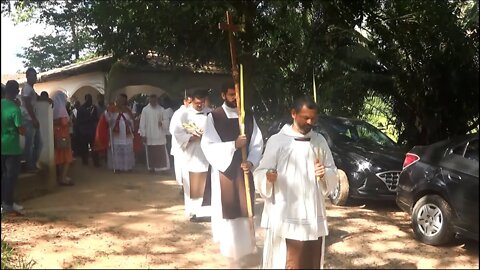 Procissão de Domingo de Ramos