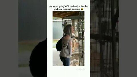 😂😂😂🦜 Credits to @amit_8_edits on Instagram #shortsvideo #shorts #fyp #funny #parrot #sing