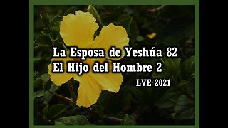 La Esposa de Yeshúa 82 - El Hijo del hombre 2