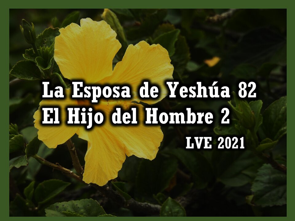 La Esposa de Yeshúa 82 - El Hijo del hombre 2