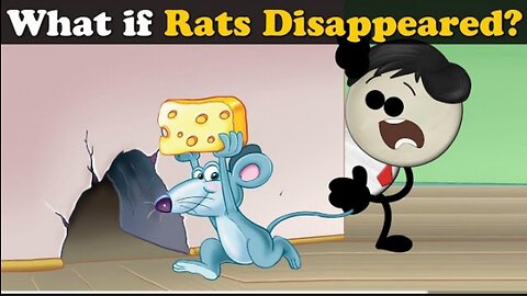 What happens if rats 🐀🐀disappeared