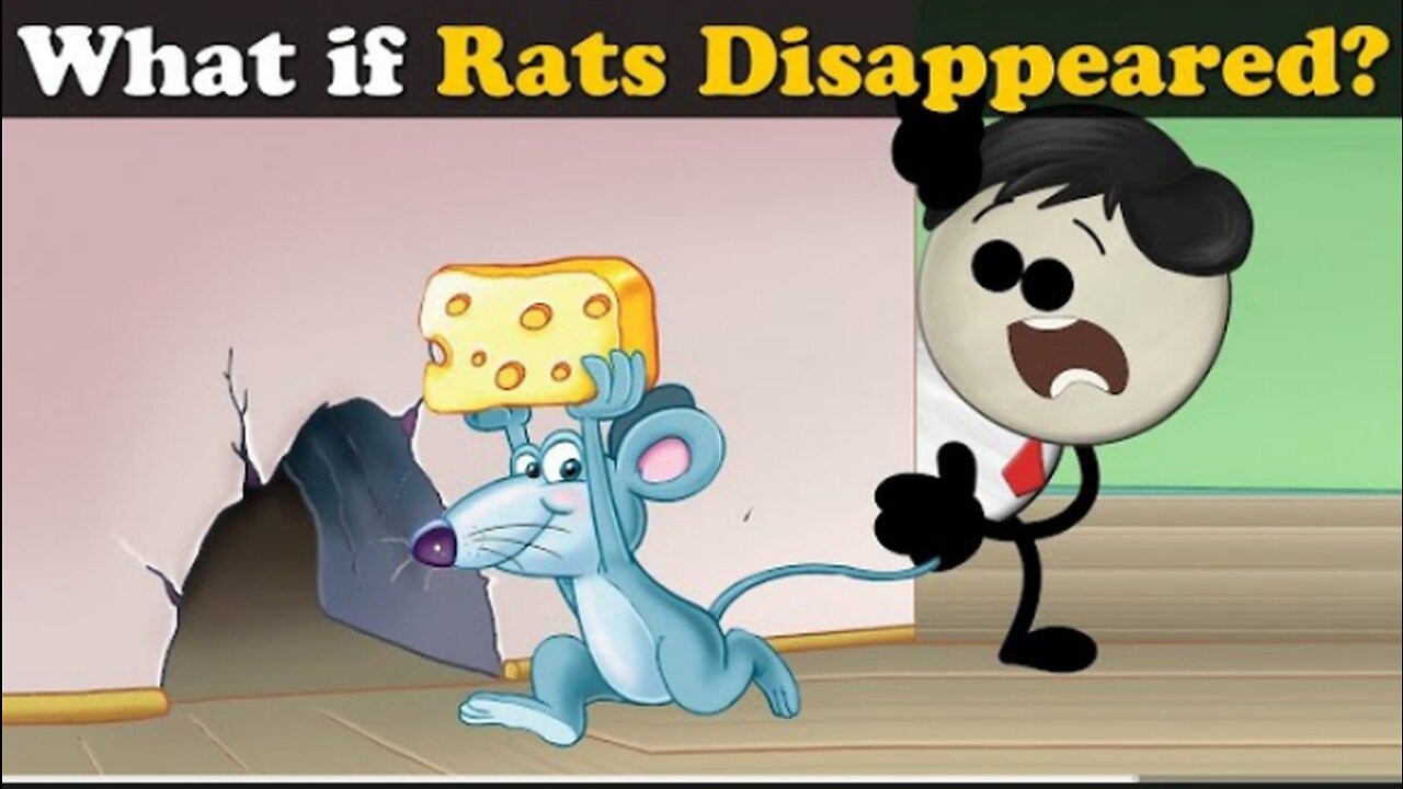 What happens if rats 🐀🐀disappeared