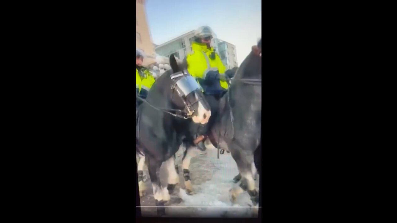 Trudeau Sends Horses Into The Crowd.