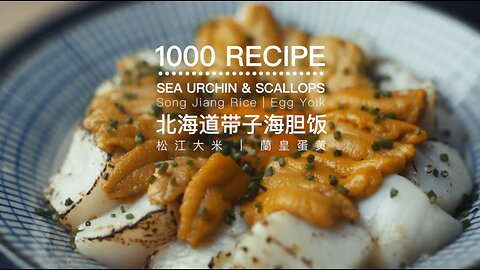 SEA URCHIN&SCALLOPS