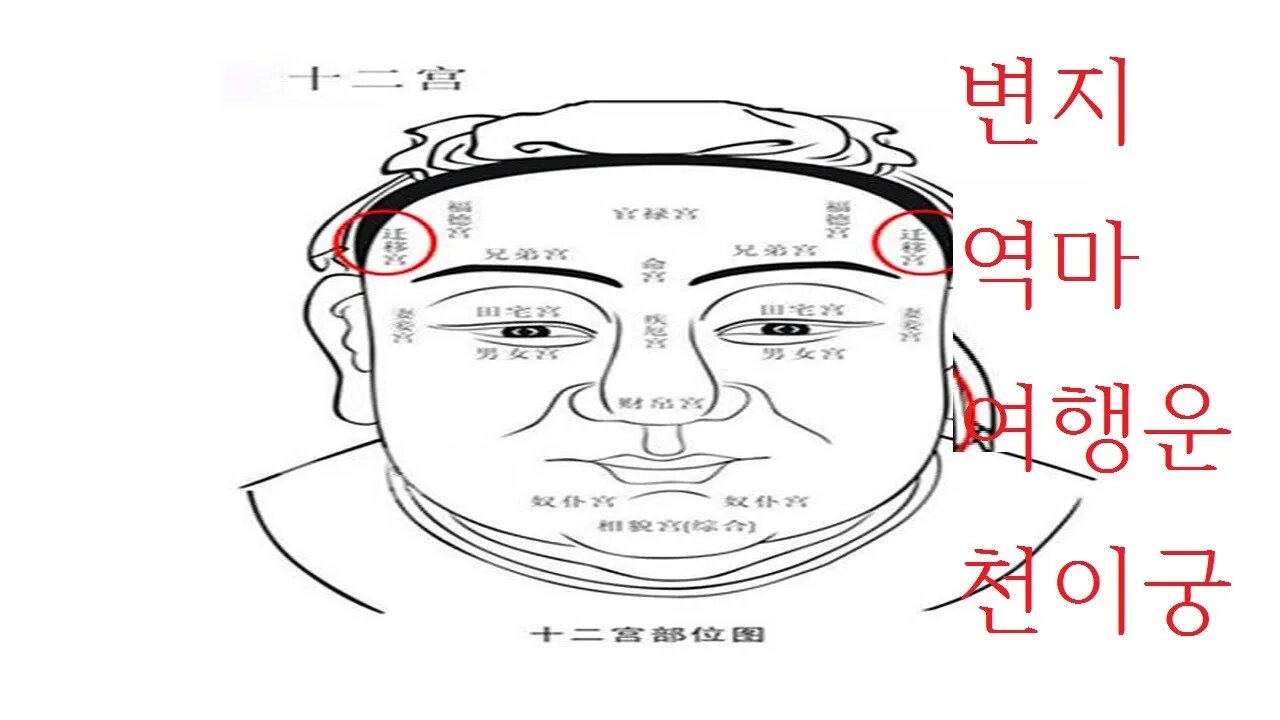 운명을 나타내는 부위, 직업, 중정, 여행, 변지역마, 희망, 인당, 형제, 눈썹, 인기, 전택, 복있는 관상은어떤얼굴인가, 관상보기, 마의상법, 내얼굴관상, 유장상법, 미간