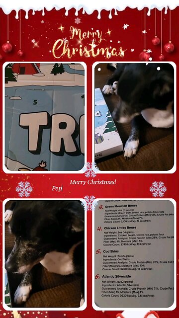 Day 5 of our Advent Calendar Adventures with Pepper, the pickiest pup in town