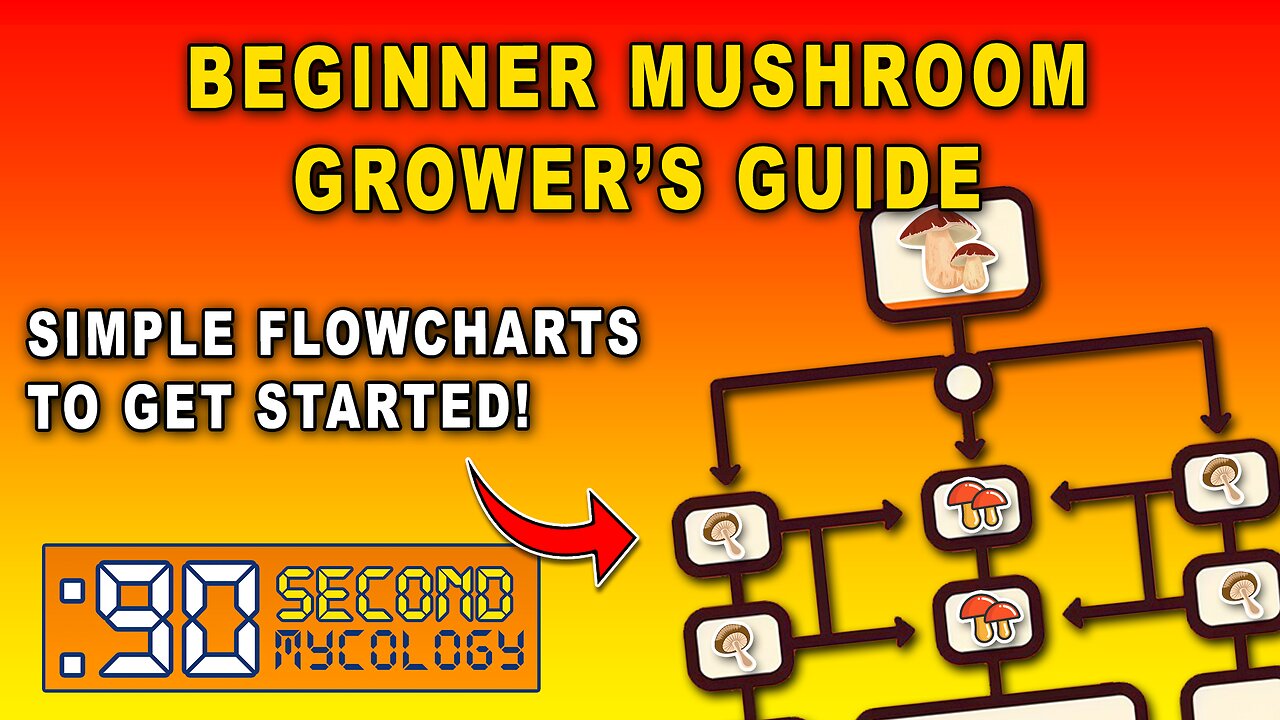 Absolute Beginner Mushroom Grower's Guide \\ Flowcharts to Get Started!