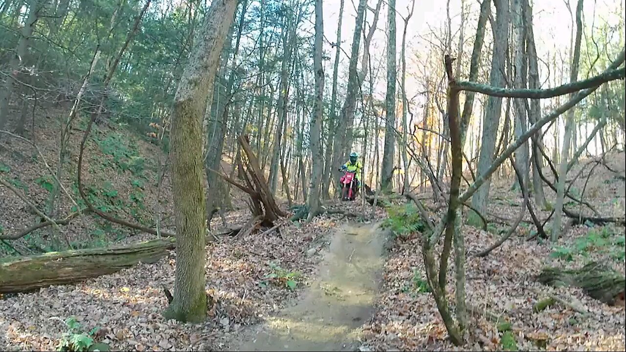 Echo Valley Mx Park Hair Scramble