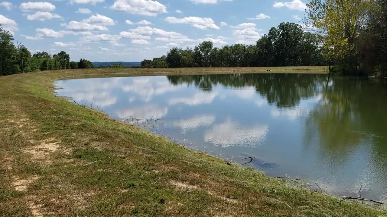 FARM VLOG excavator, fawns, tractors, food plots and more