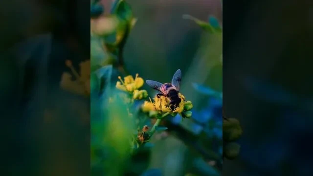 Cute #shorts #youtube #youtubeshorts