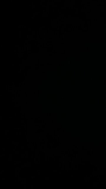 Impeach Resident Biden￼