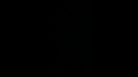 Impeach Resident Biden￼