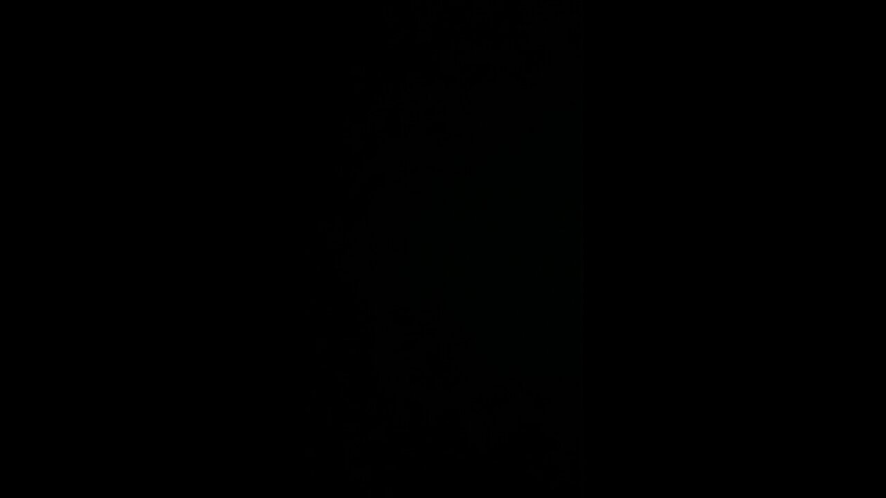 Impeach Resident Biden￼