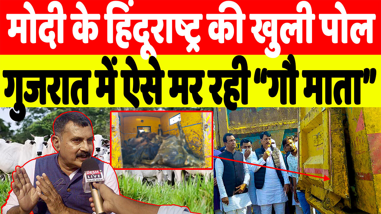 मोदी के हिंदूराष्ट्र की खुली पोल, गुजरात में ऐसे मर रही “गौ माता” | Desh Live | Sahal Qureshi