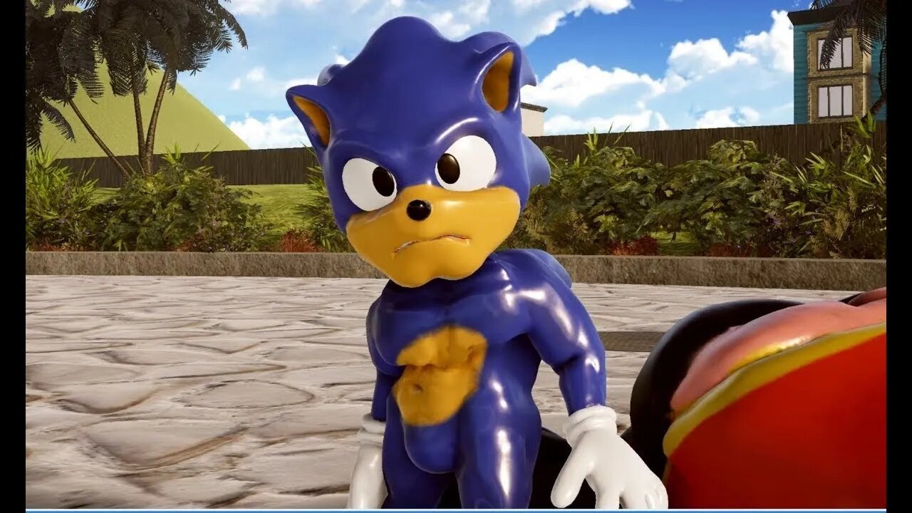 NOVOS SONIC's fora de CONTEXTO