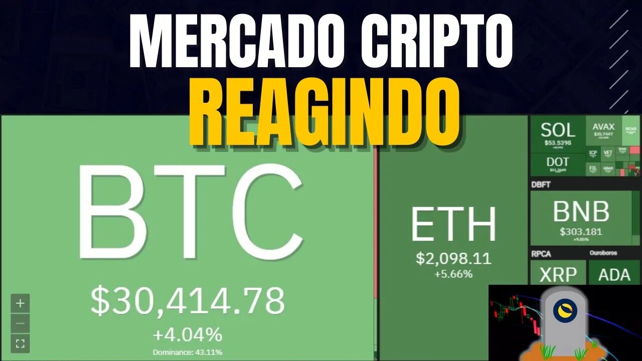 #Mercado Verdinho hoje#Luna Morreu ? #dayMarkets