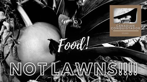 Backyard Gardening | Food Not Lawns!! #FoodForest #Arvada