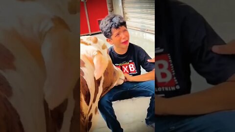 Sad Moments Eid Qurban #eid #shorts #viral