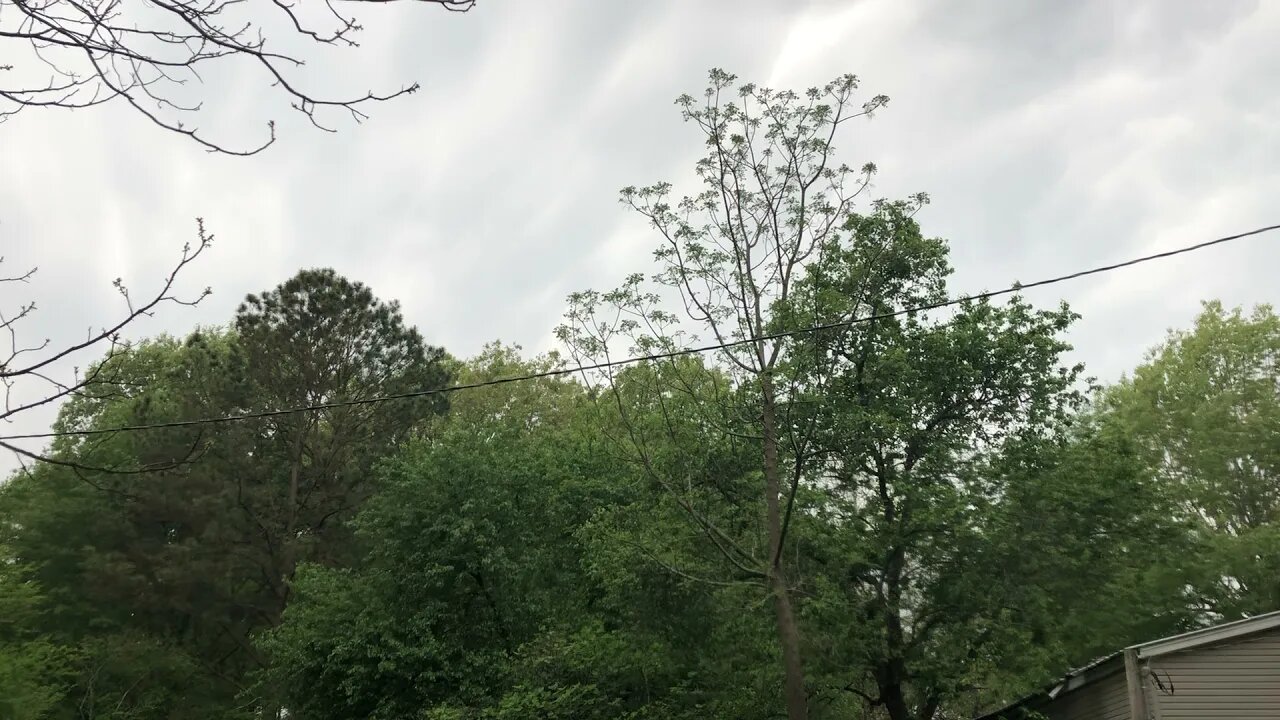 IMG 7615