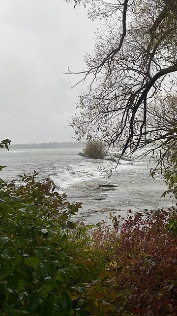 Niagara River 🇺🇸 #5
