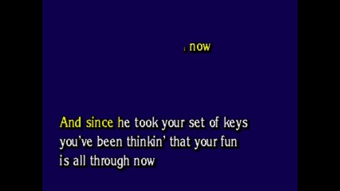PI002 14 Beach Boys, The Fun, Fun, Fun