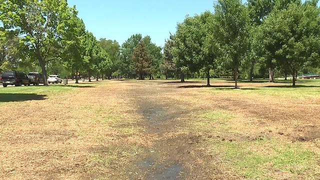 Ann Morrison Park damage or restoration work won't impact many visitors in Boise