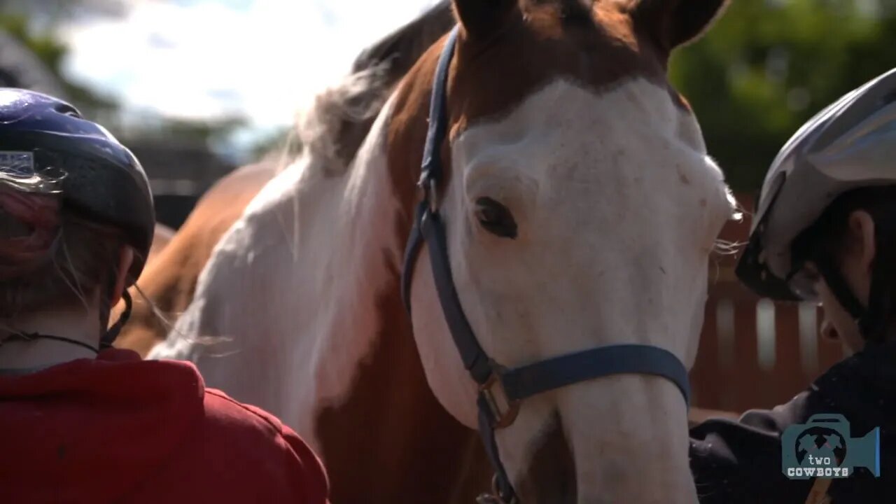 Two Cowboys are Getting Trained by Horses at Free Rein Equine Assisted Learning, Grand Forks, BC