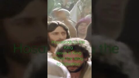 Jesus Raid on a Donkey as King | Palm Sunday | Jesus is King | Hosannah to the King