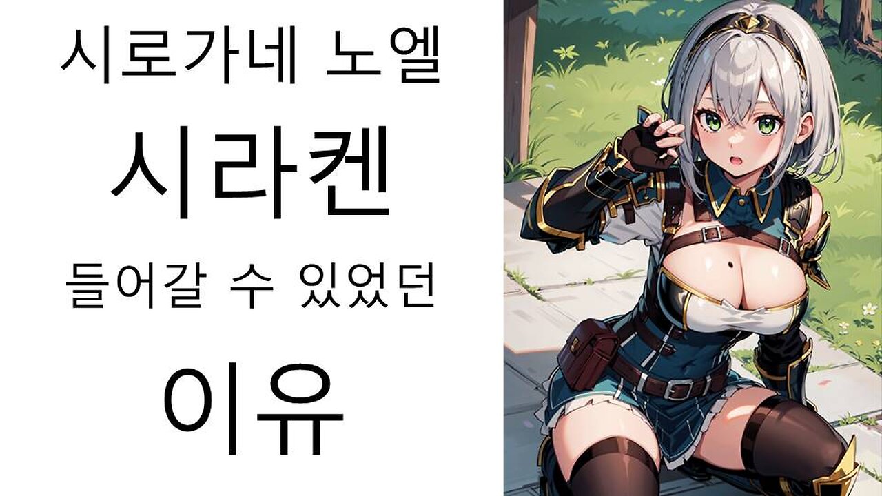 시라켄에 노엘이 들어가게 된 이유(20240702)
