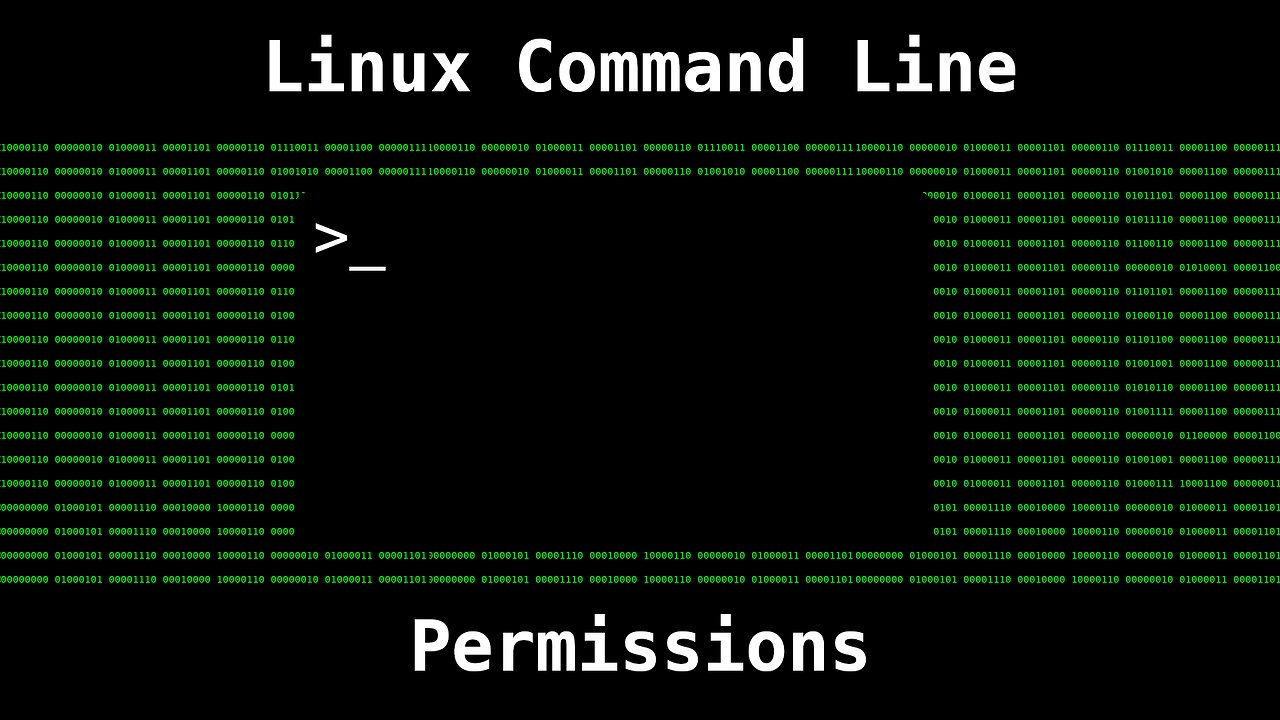 Linux File Permissions