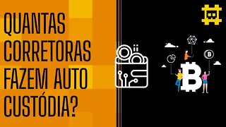 Quantas corretoras realmente têm BTC sob auto custódia? - [CORTE]