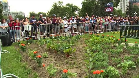 No squashed squash: Despite 500,000 Avs fans in Civic Center Park, not a petal out of place in gardens