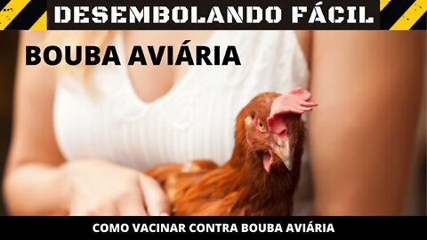 Bouba aviária. Como vacinar.