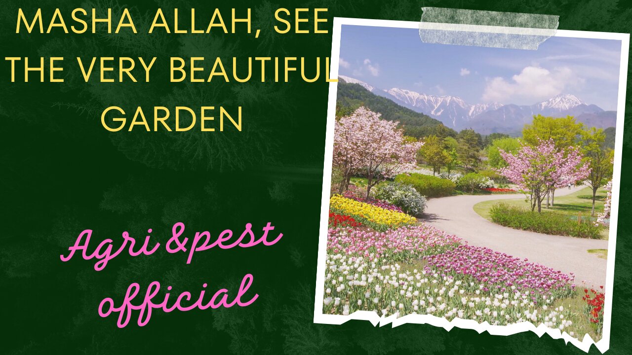 "Enchanting Oasis: A Journey Through a Beautiful Garden"