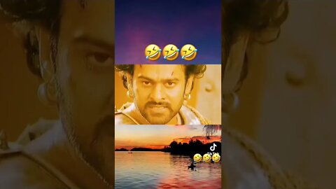 Top Video Triệu view #shorts #short #film