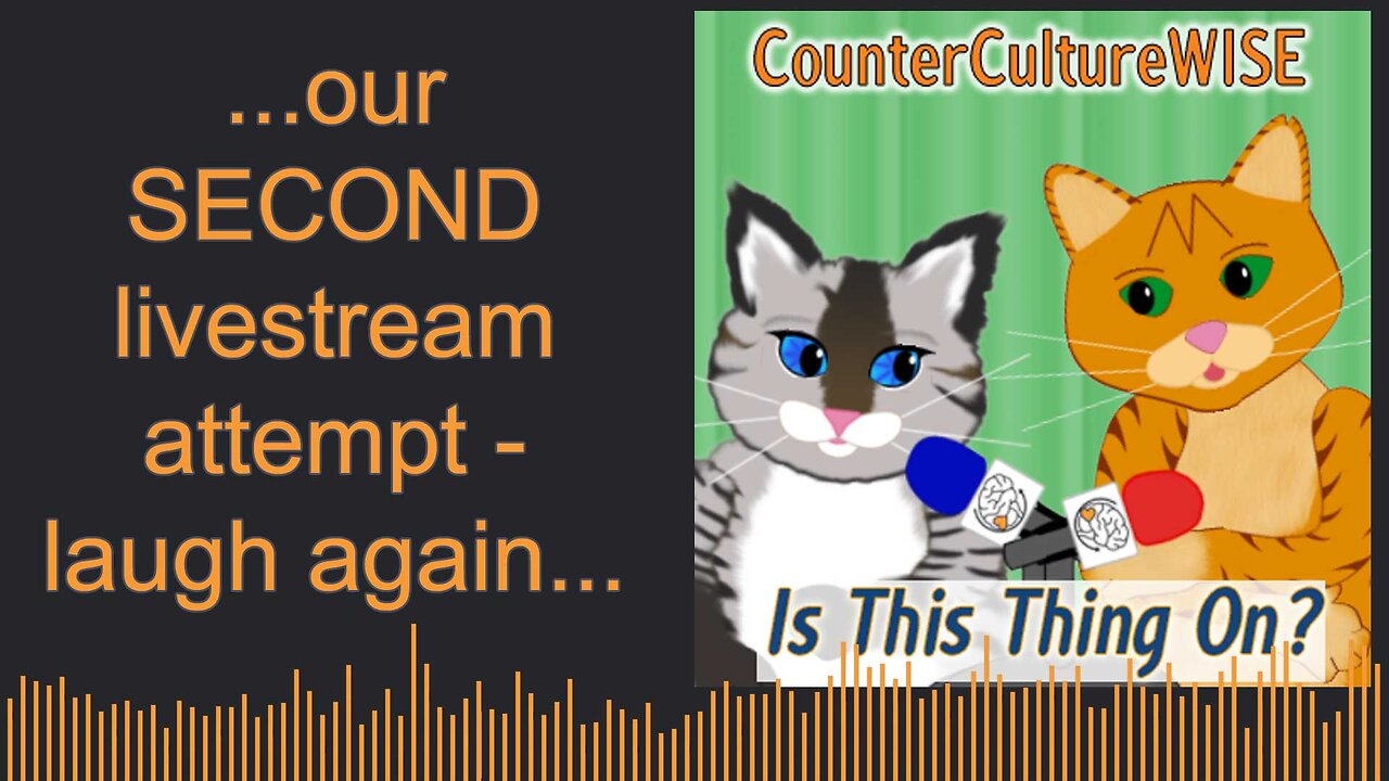 Is This Thing On? (Our SECOND attempt at livestreaming)