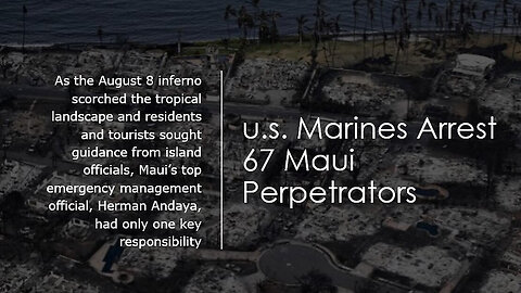 u.s. Marines Arrest 67 Maui Perpetrators