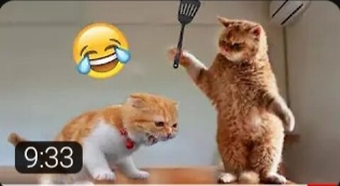 Most Trending Animal Videos - Funniest Cats and Dogs 2023 |