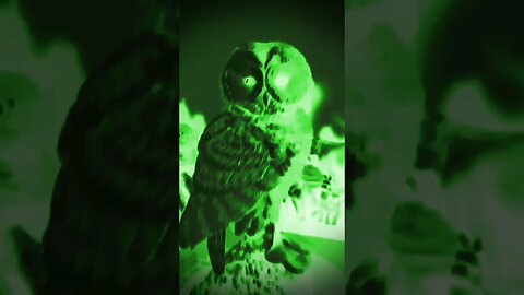 WHAT IS IT? IT'S AN OWL 🦉 🌃😱😱 #art #owl