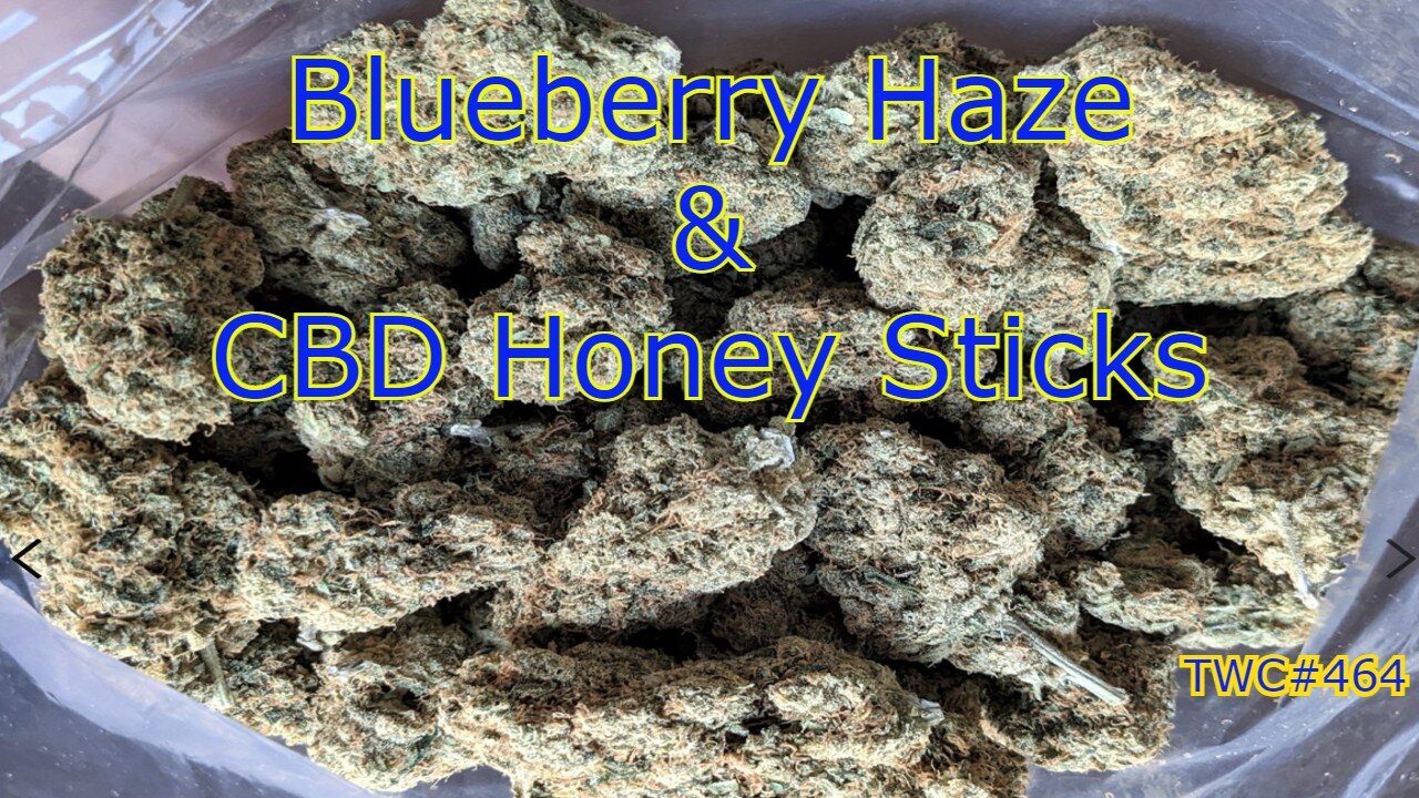 Blueberry Haze & CBD Honey Sticks TWC#464