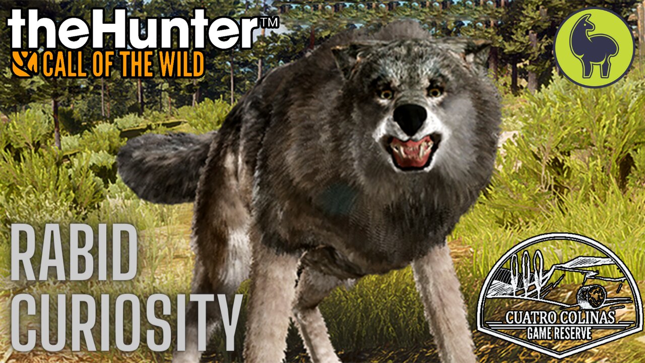 Rabid Curiosity, Cuatro Colinas | theHunter: Call of the Wild (PS5 4K)
