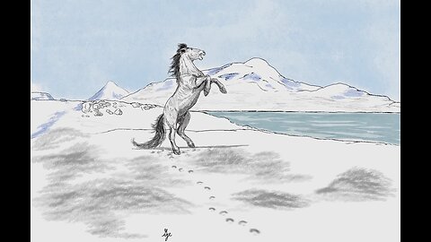 Kerguelen Islands Horse