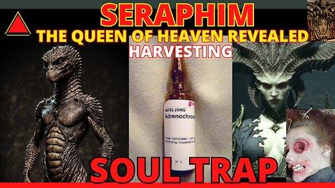 THE SERAPHIM HARVESTING SYSTEM | SOUL TRAPPING & THE SECRET OF AGES