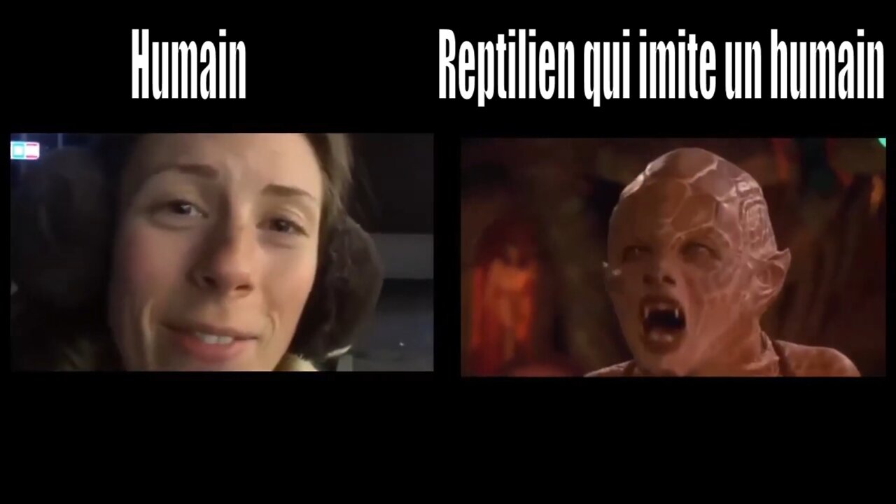 RECONNAÎTRE UN REPTILIEN À LA TÉLÉ - UN MOYEN TRÈS SIMPLE