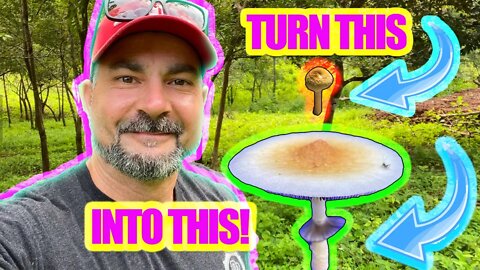 FIX SMALL FRUITS IN YOUR OUTDOOR MAGIC MUSHROOM BEDS! (Easy fix)