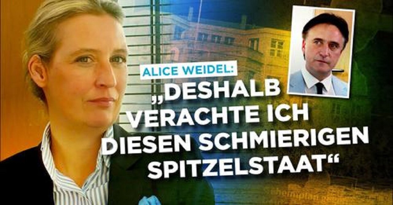 AfD Weidel: Deshalb verachte ich diesen schmierigen Spitzelstaat